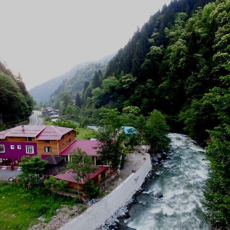 Mjora Butik Otel Çamlıhemşin Exterior foto